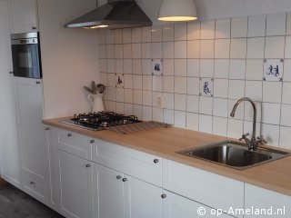 Fuut bij de vuurtoren Fuut bij de vuurtoren